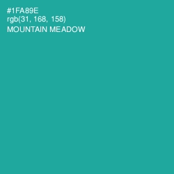 #1FA89E - Mountain Meadow Color Image